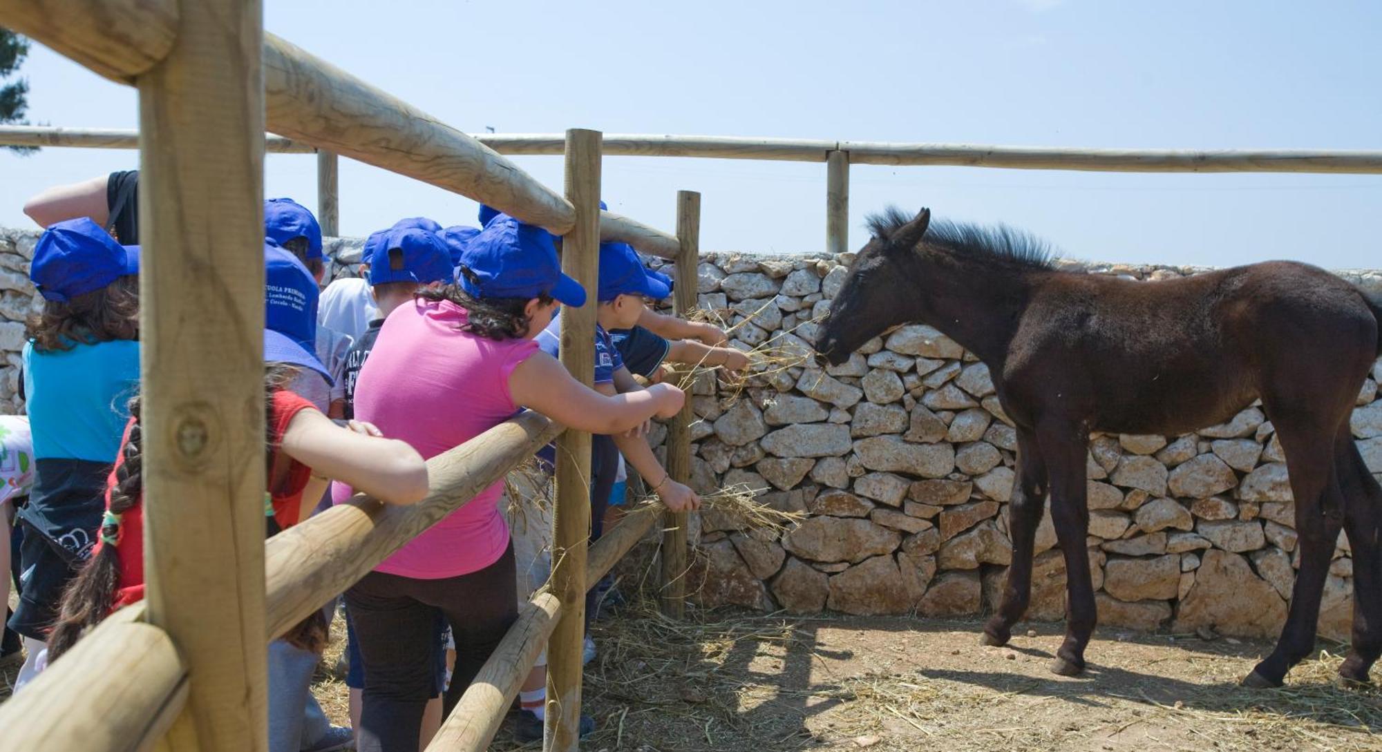 Agriturismo Scalelle Otranto Dış mekan fotoğraf