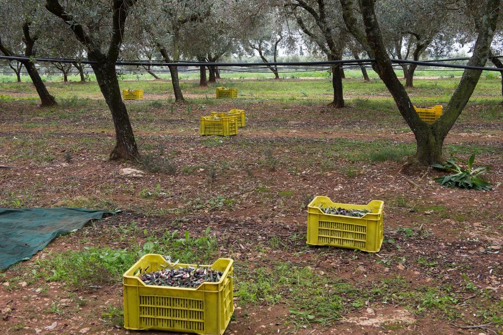 Agriturismo Scalelle Otranto Dış mekan fotoğraf